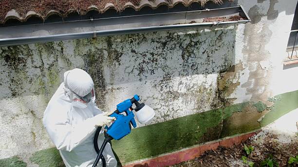 Trusted Crawl Space Mold Removal service in Seaside Heights, NJ - Cheap Mold Removal